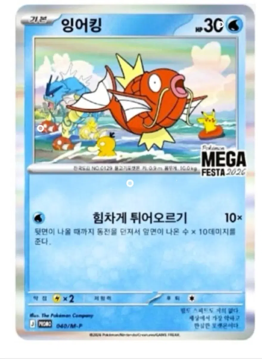 포켓몬카드 잉어킹 MEGA FESTA 2026 미개봉팩