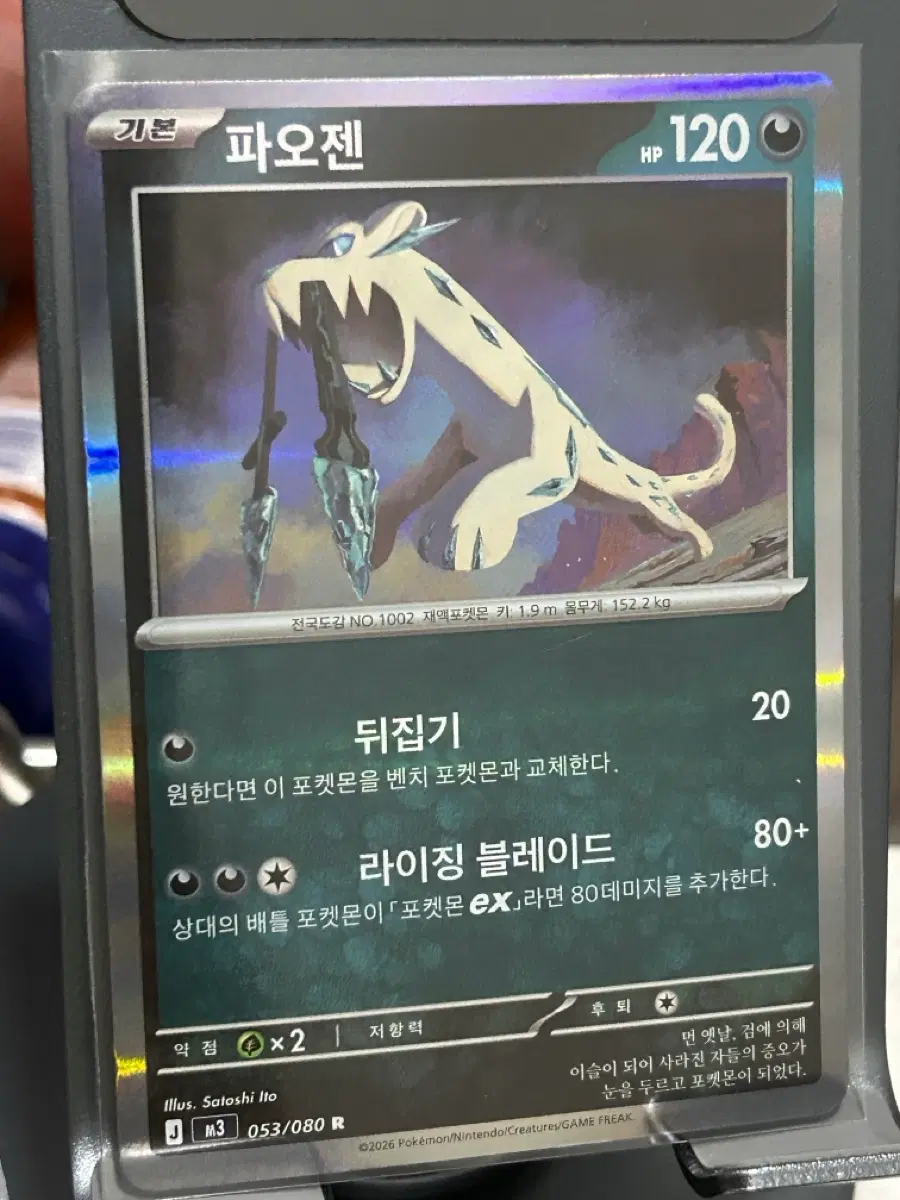 포켓몬 카드 파오젠 R 미러 홀로그램 덱소스