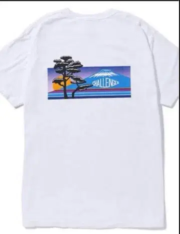 CHALLENGER 챌린저 NATURE JPN TEE 후지산