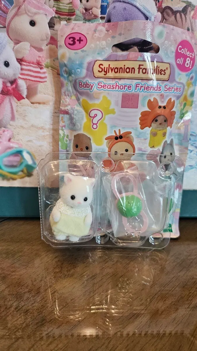 실바니안 아기바다 페르시안 거북이