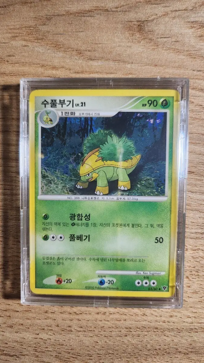 포켓몬 카드 수풀부기 90 LP