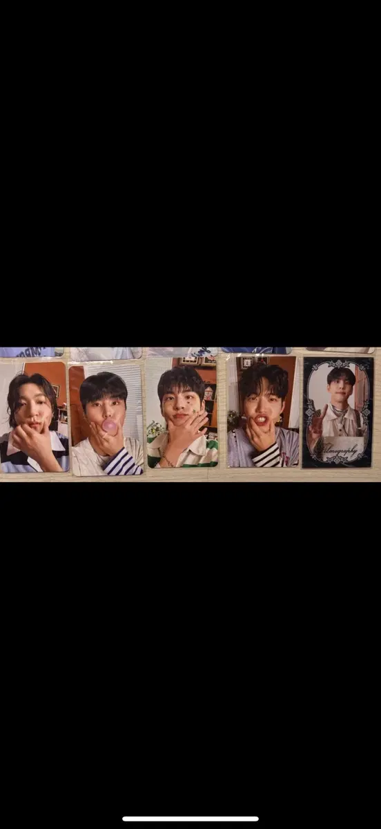 데이식스 공식 포카(시그 포카+콘서트 입장 포카+앨범 포카)