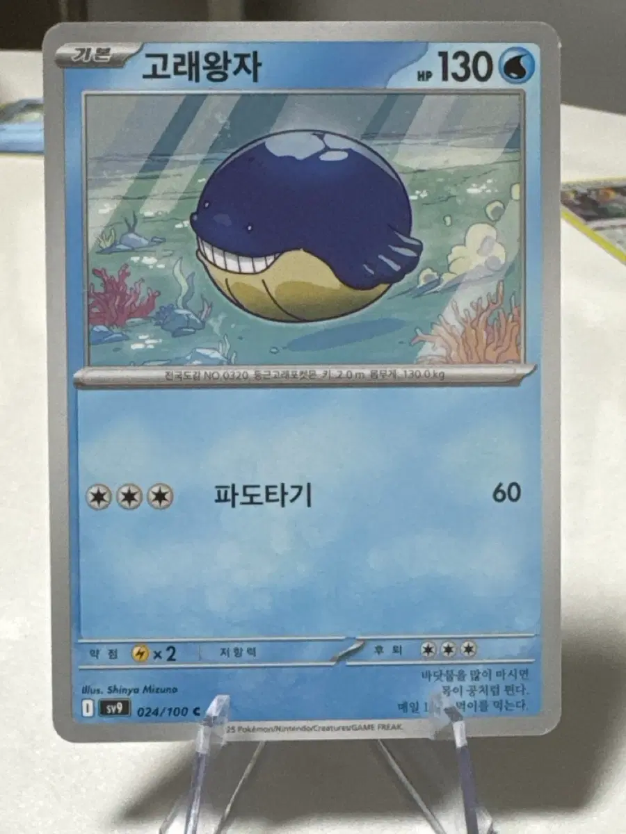 포켓몬카드 고래왕자 sv9 024/100 C