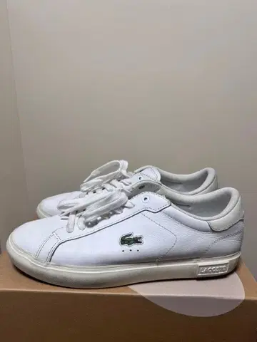LACOSTE 남성용 스니커즈 화이트