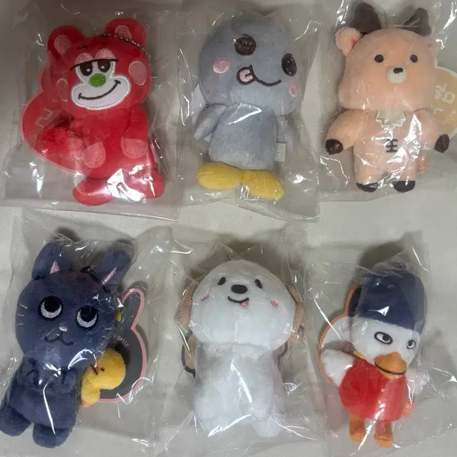 라이즈 1기 10cm 리즈코