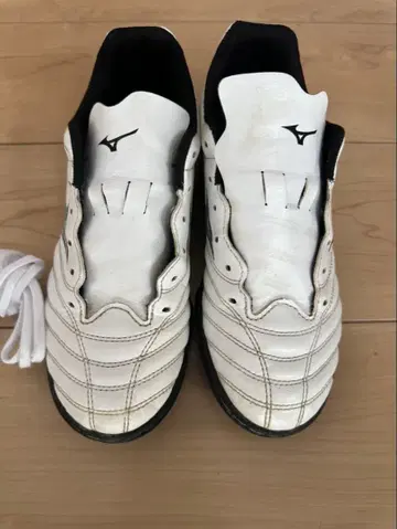 미즈노 모나르시다 네오 24cm