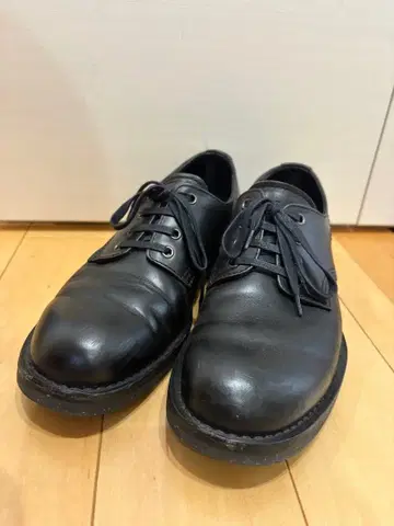롬버드 포스트맨 신발 D212110 25.5cm DANNER