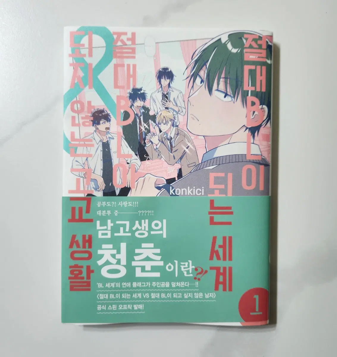 절대 BL이 되는 세계 고교 생활 외전 정발 만화책