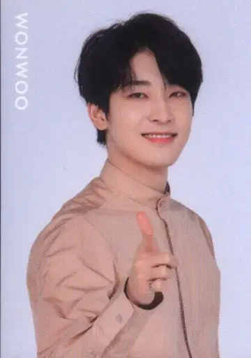 SEVENTEEN 20년 SVT WONWOO 트레이딩 카드 노멀