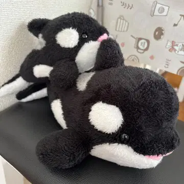 카모가와 씨 월드 범고래 봉제 인형 부자 세트