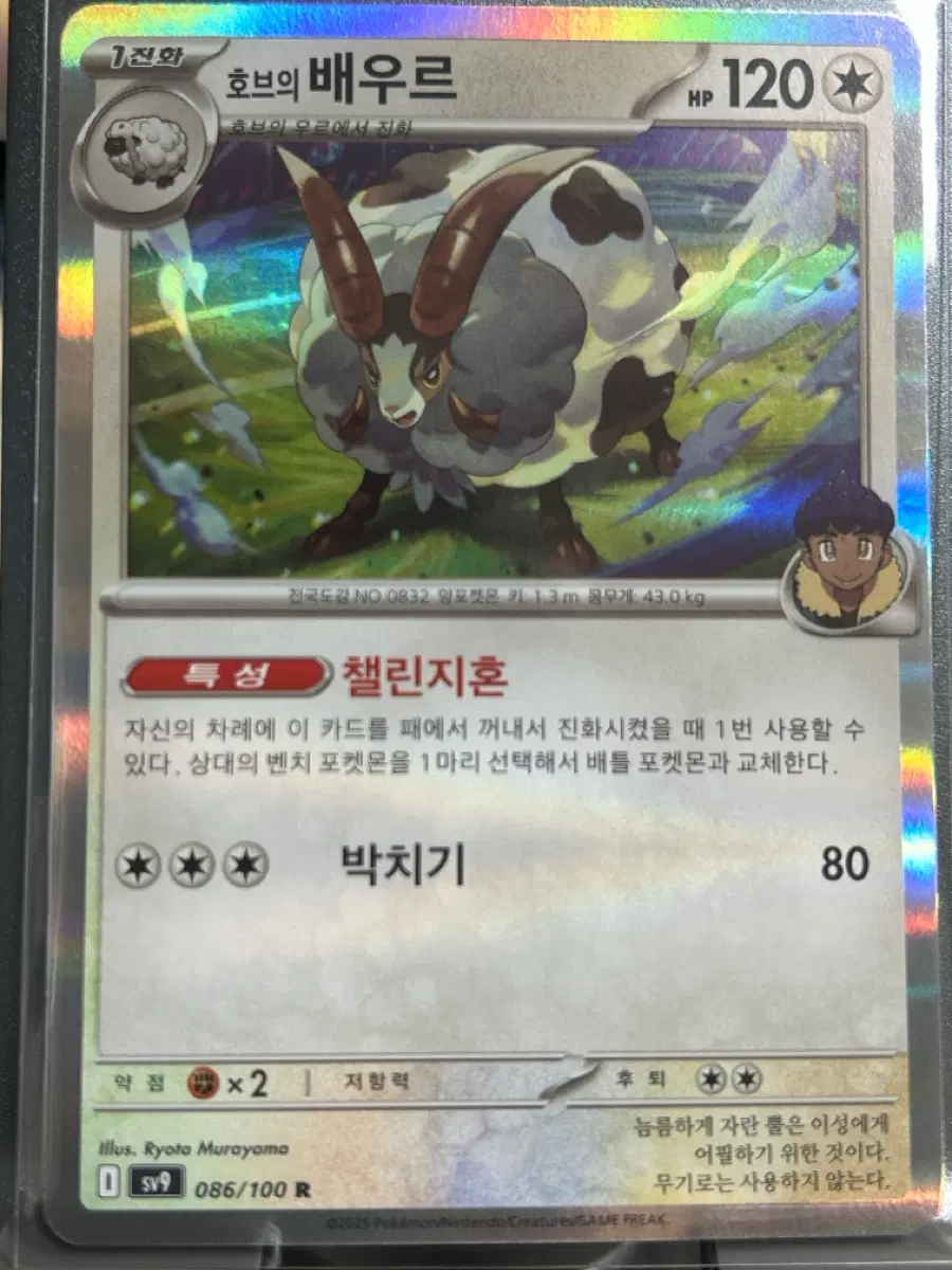 호브의 배우르 R 포켓몬카드 미러 홀로그램