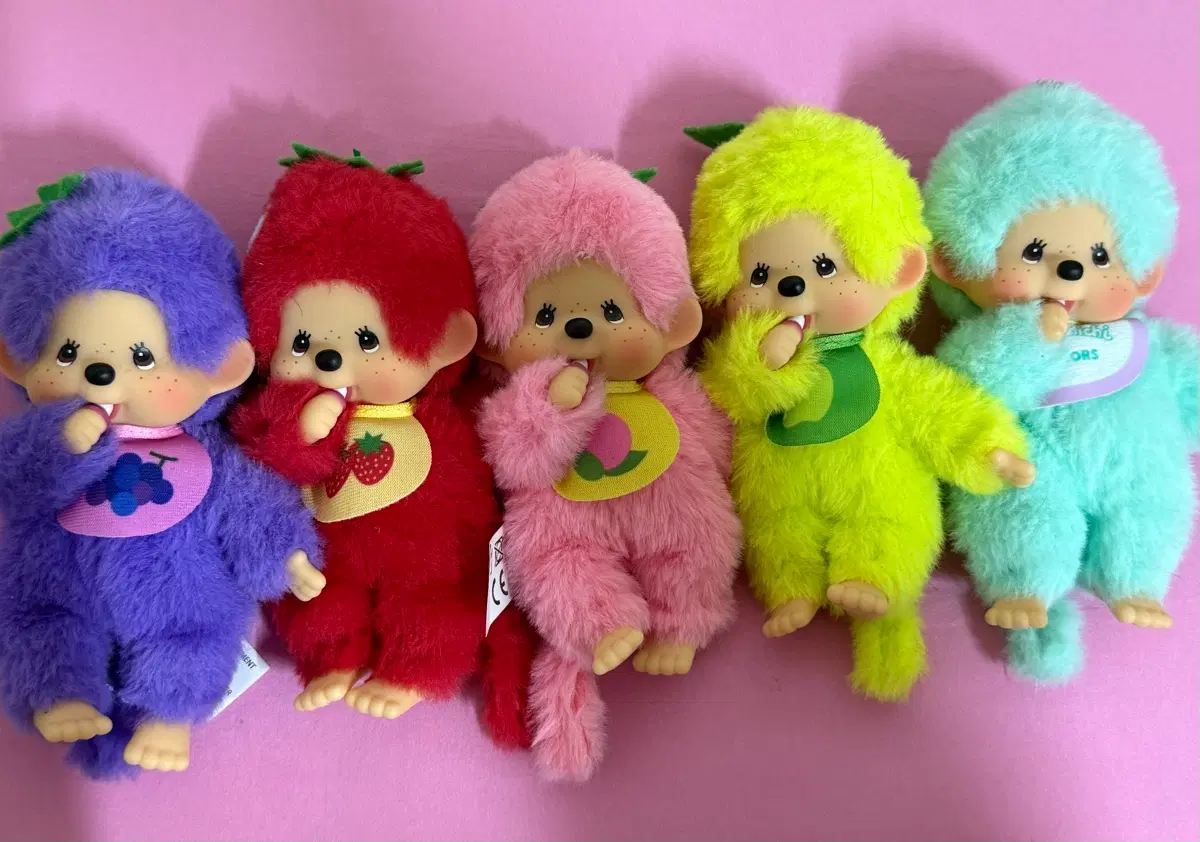 몬치치과일시리즈&민트