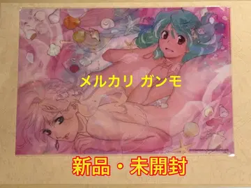 미개봉 새상품 마크로스 프론티어 클리어 파일 셰릴 란카