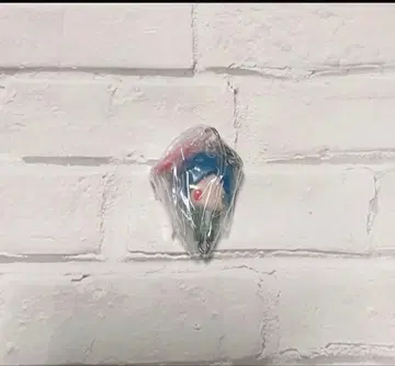 가정교사 히트맨 REBORN! 캐릭터 메이트 로쿠도 무쿠로 1점 리본