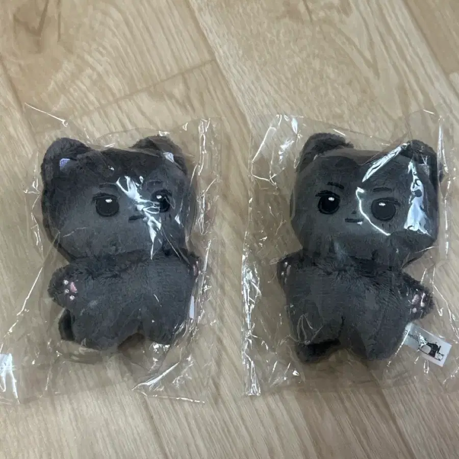 엔하이픈 제이 인형 쫑큘라 쫑슴 쫑냥