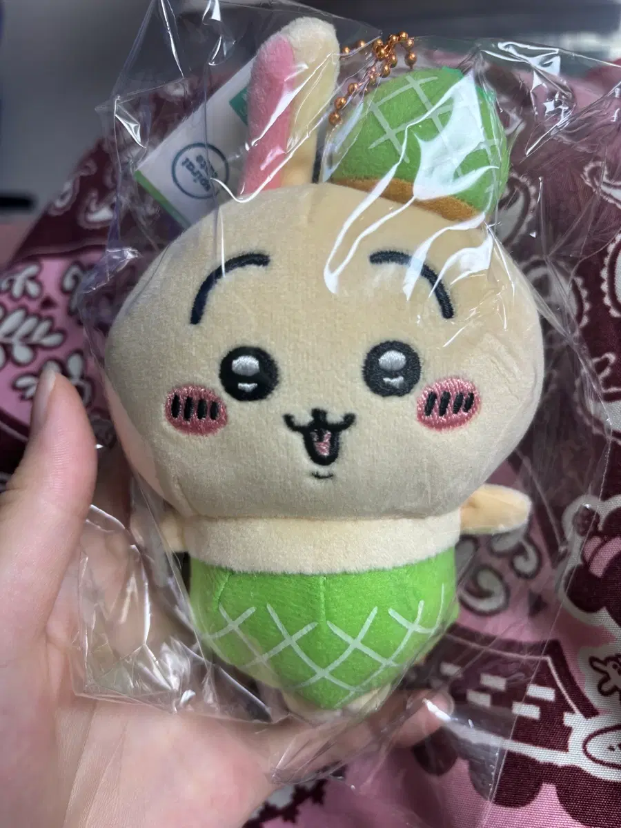 치이카와 홋카이도 삿포로 한정판 메론 (우사기)