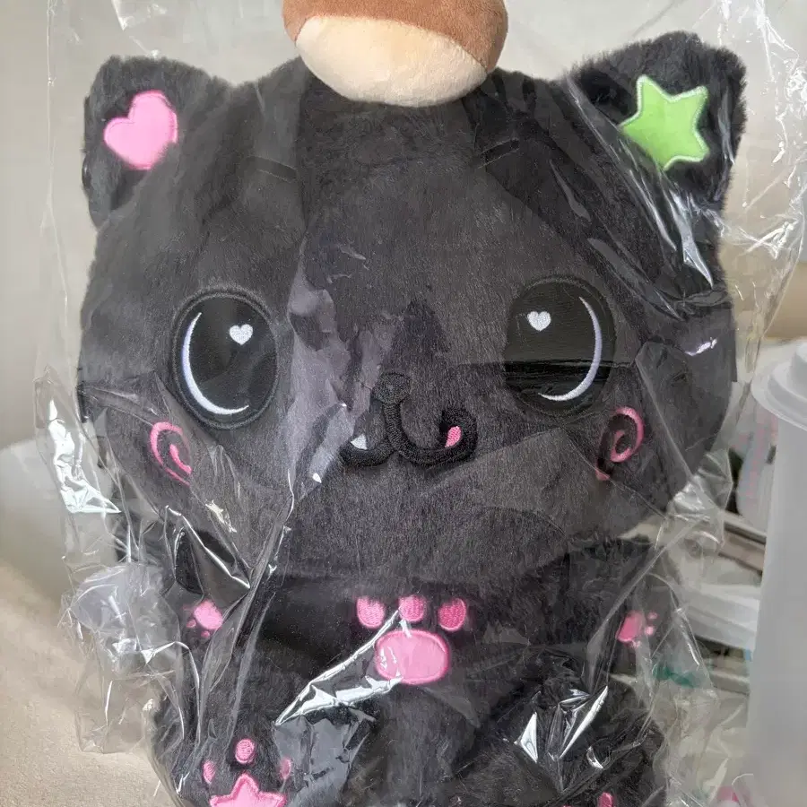 Nct Wish Kuri Doll Riku Doll | Bunjang Global