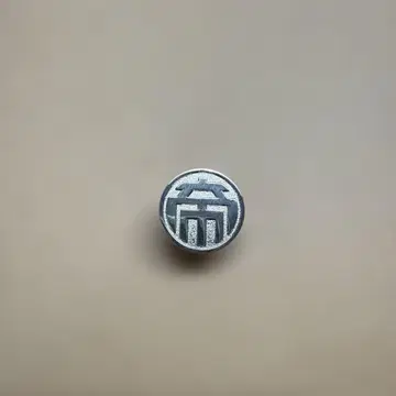 카이지 제애 핀 배지