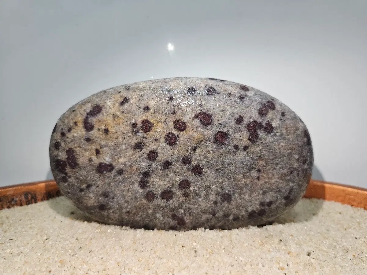 수석 자연석 붉은 매화꽃 크기 15 - 9 - 5
