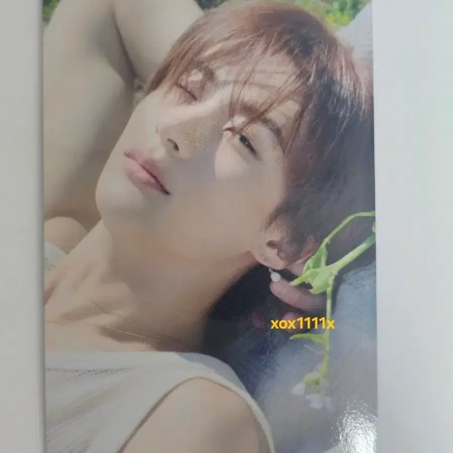 라이즈 앤톤 찬영 일본 DYD 앨범 포카 HMV loppi 에쳄비 한정