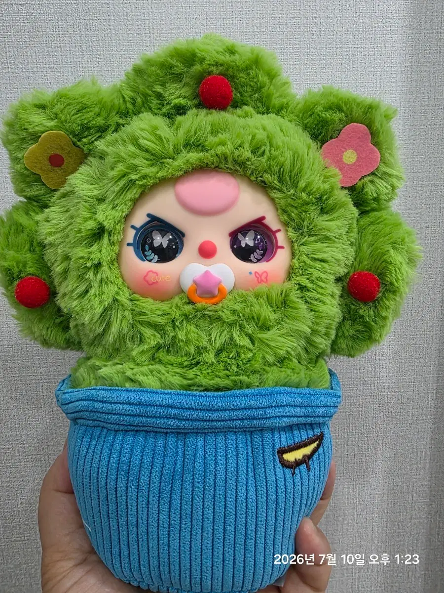 베이비쓰리 화분 시크릿