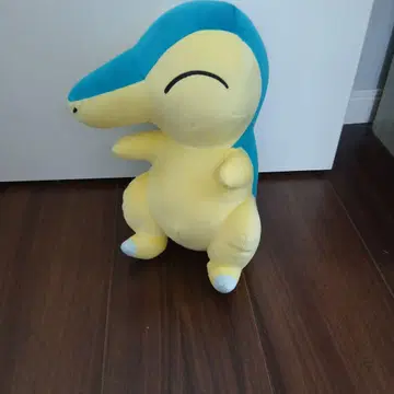 포켓몬 히노아라시 봉제 인형