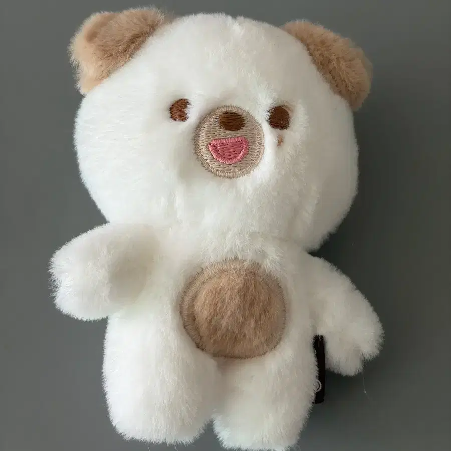 데이식스 쁘띠멀즈 돈 도운