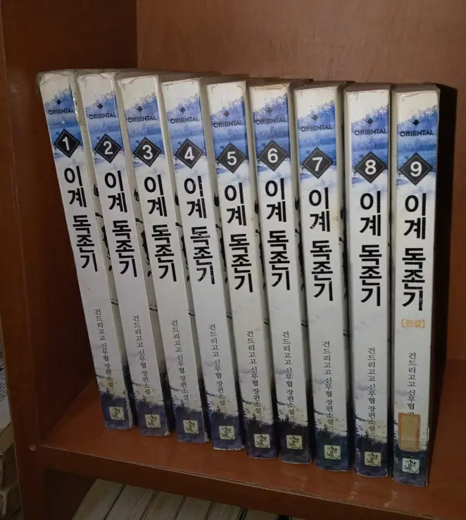 이계 독존기 (작은책-신무협) 1-9 완/상태(중)/영상노트
