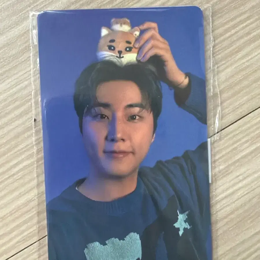 데이식스 2025클콘 온라인 5만 포카 영케이 영현