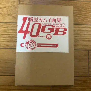 후지와라 카무이 화집 40GB side B