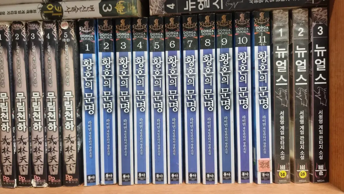 황혼의문명 1-11 완 라이먼 게임판타지 소설