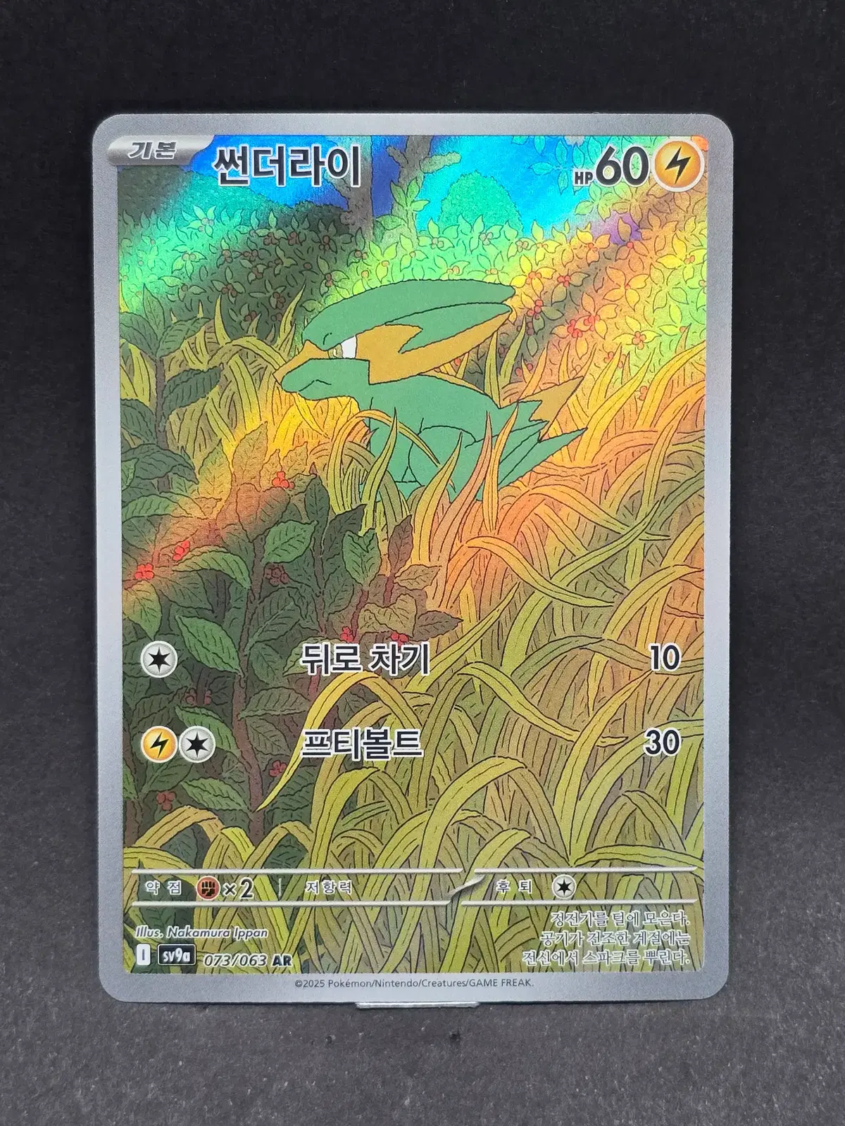 포켓몬카드 썬더라이 AR