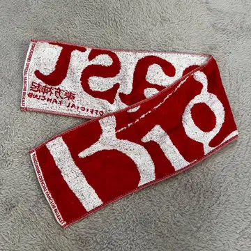 동방신기 Bigeast 머플러 타월