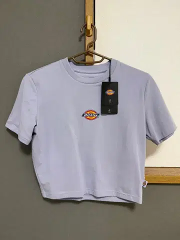Dickies 크롭 기장 반팔 T셔츠