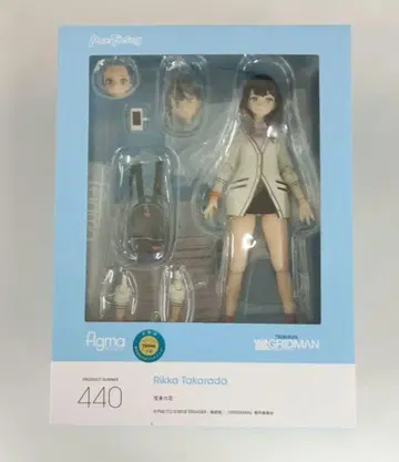 figma 타카라다 릿카 [ SSSS.GRIDMAN ]