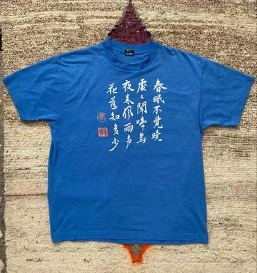 레어 블랙 택 Fruit of the Loom 한시 티셔츠 블루 XL