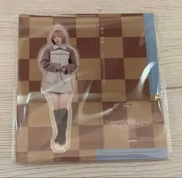 사쿠라자카46 후지토시 카린 Lonesome rabbit 아크릴 스탠드