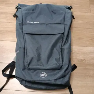 MAMMUT Xeron Courier 25 백팩