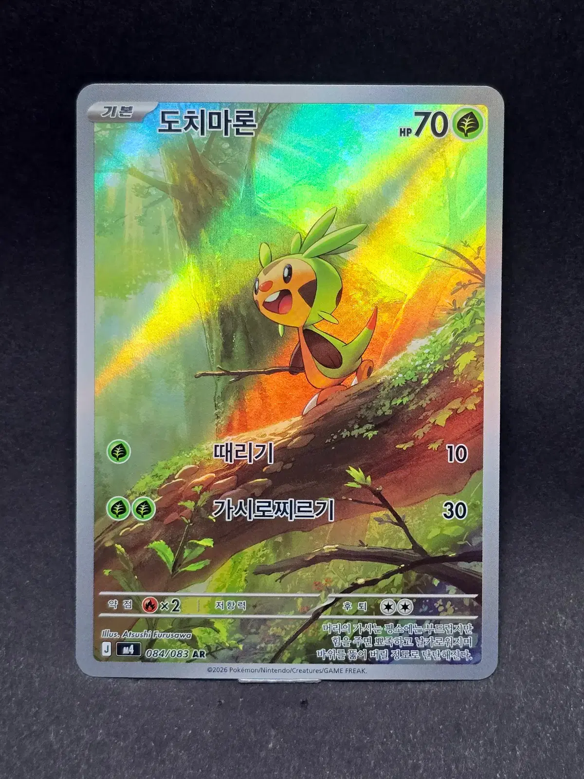 포켓몬카드 도치마론 AR