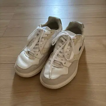 LACOSTE 스니커즈 화이트 여성용