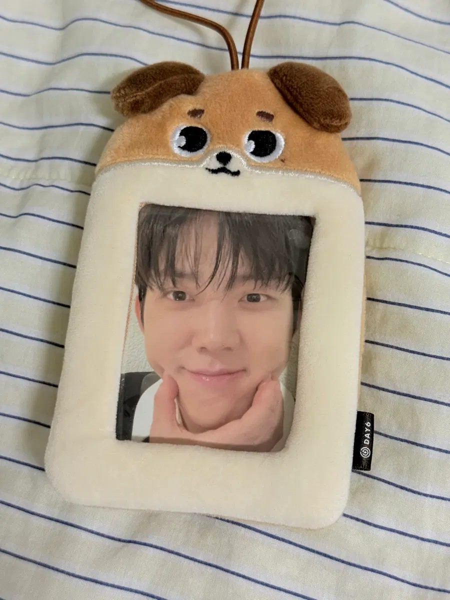 원가이하,일괄) 데니멀즈 러기지택 포카홀더+데이식스 도운 아궁빵 포카