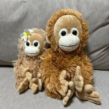 베이비 코코 & 나츠 봉제 인형 2체 세트