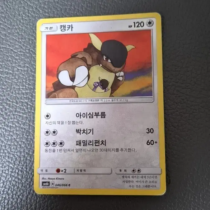 포켓몬 카드 캥카