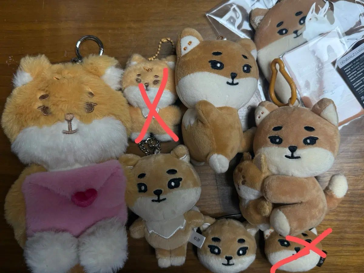 데이식스 영케이 엠디 케둥이