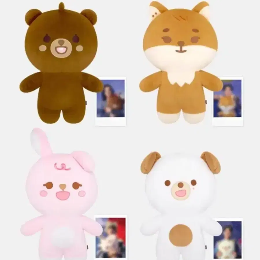 자이언트 쁘띠멀즈 쁘멀 방돈 미개봉 (포카 포함)