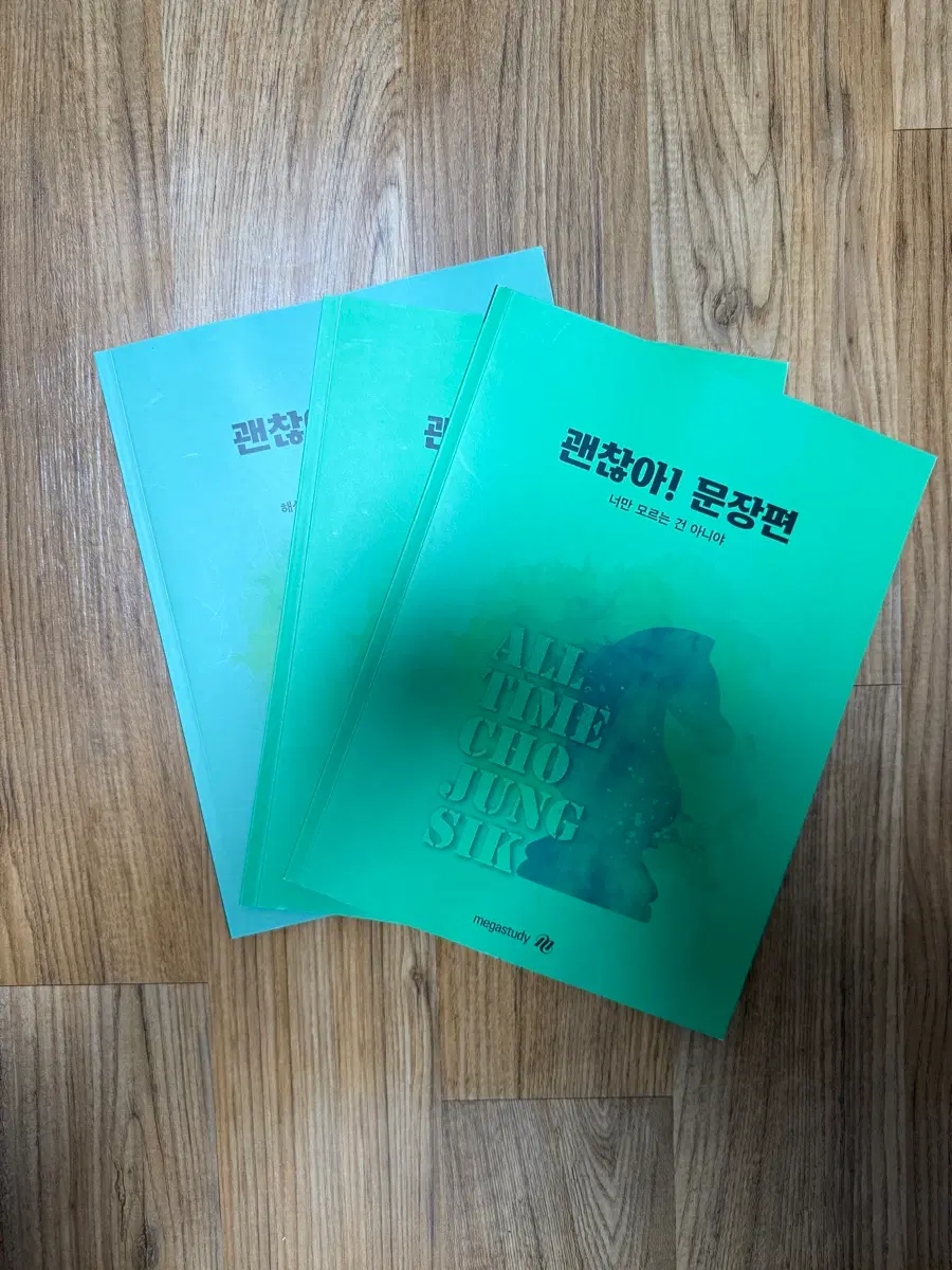 메가스터디 조정식 괜찮아 문장편,워크북