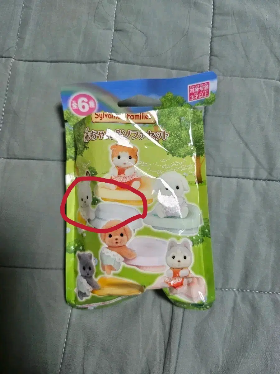 실바니안 일본 블라인드팩