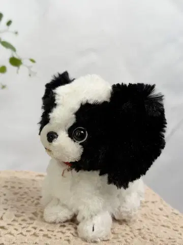 선레몬 PUPS! 봉제 인형 친