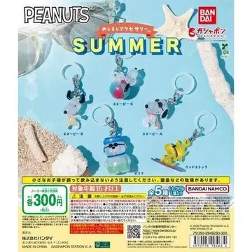 PEANUTS SUMMER 메지루시 액세서리 풀 컴프