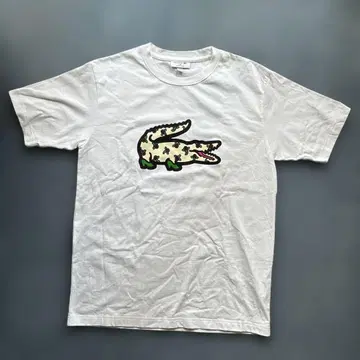 LACOSTE 악어 로고 프린트 T셔츠 화이트 FR4